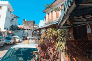 ZANZIBAR: STONE TOWN, PRISON ISLAND & SALAM CAVE Sea Turtles