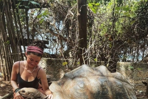 ZANZIBAR: STONE TOWN, PRISON ISLAND & SALAM CAVE Sea Turtles