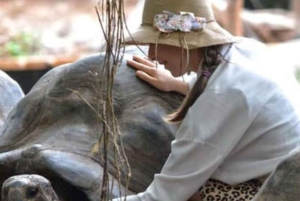 ZANZIBAR: STONE TOWN, PRISON ISLAND & SALAM CAVE Sea Turtles