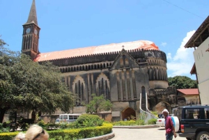 ZANZIBAR: STONE TOWN, PRISON ISLAND & SALAM CAVE Sea Turtles