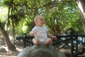 ZANZIBAR: STONE TOWN, PRISON ISLAND & SALAM CAVE Sea Turtles