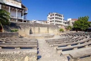 Sansibar: yksityinen kierros Kivikaupungissa