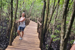 Zanzibar: Stone Town, kryddodling och Jozani Forest Tour