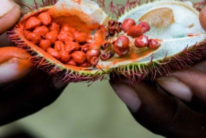 Zanzibar: Stone Town & Spices Tour