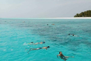 Zanzibar: Stone Town-tour en Nakupenda-strand met lunch