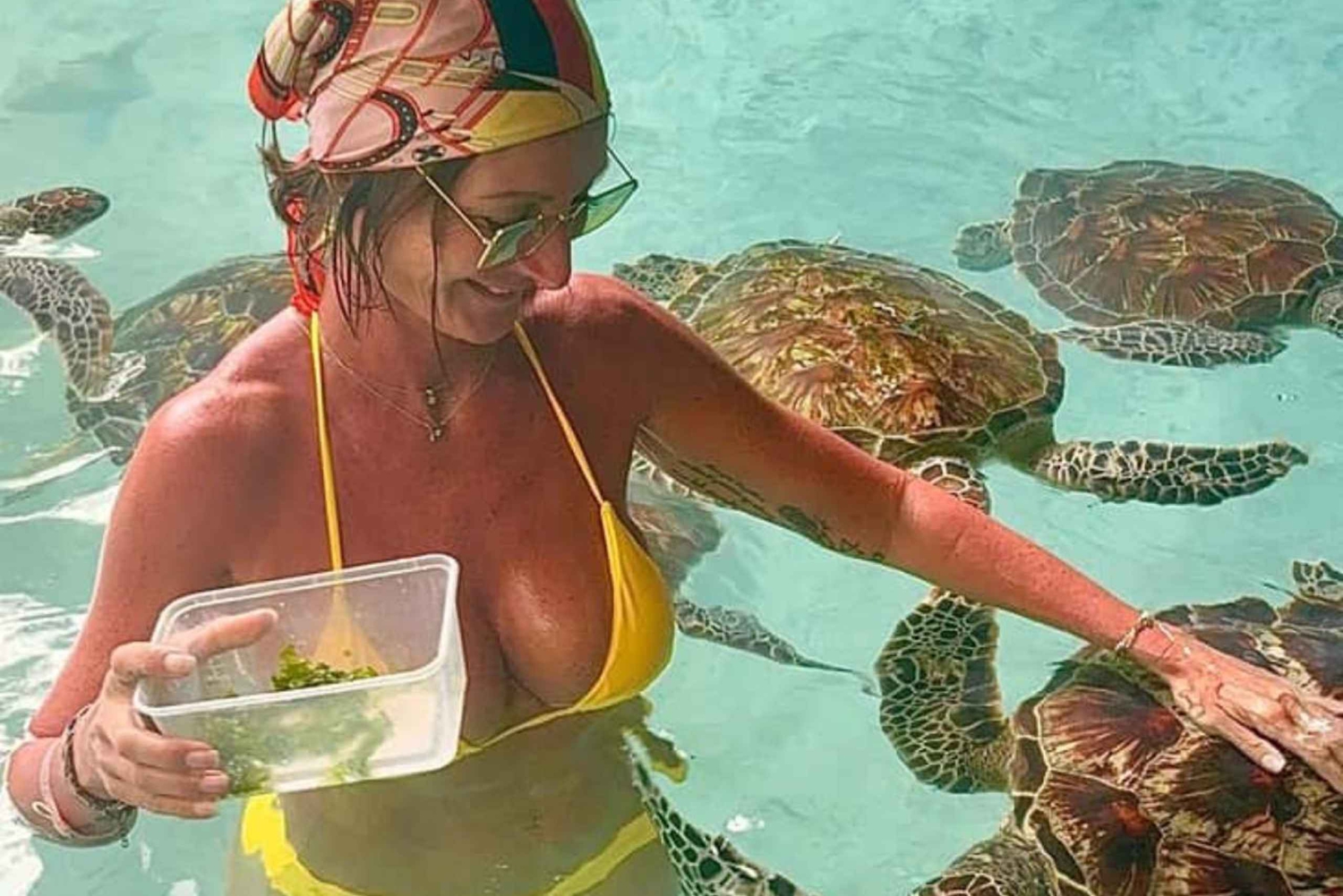 ザンジバル：ストーンタウンツアーとサラーム洞窟でウミガメと泳ぐ冒険をお楽しみください