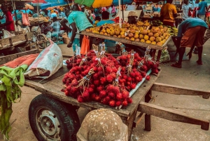 Zanzíbar: tour de esnórquel con delfines y almuerzo en la isla de Mnemba