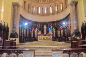 Zanzíbar: tour de esnórquel con delfines y almuerzo en la isla de Mnemba