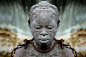 Zanzíbar: tour de esnórquel con delfines y almuerzo en la isla de Mnemba