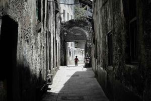 Zanzíbar: tour de esnórquel con delfines y almuerzo en la isla de Mnemba