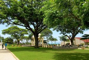 Zanzíbar: tour de esnórquel con delfines y almuerzo en la isla de Mnemba