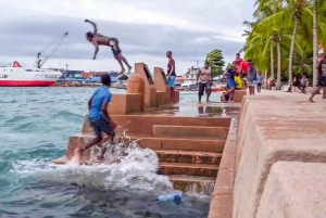 Zanzíbar: tour de esnórquel con delfines y almuerzo en la isla de Mnemba