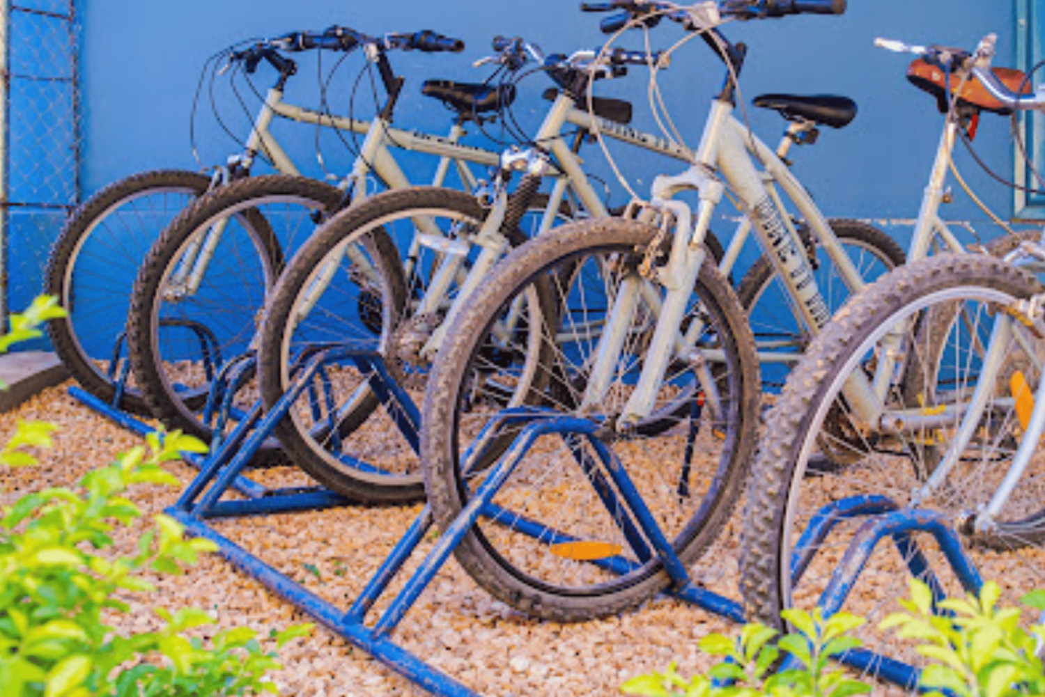 Zanzibar: aventura de natação na gruta