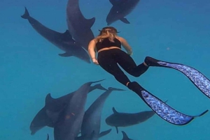 Zanzíbar: nada con delfines, bosque Jozani y Ciudad de Piedra