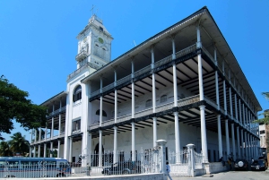 Zanzíbar: nada con delfines, bosque Jozani y Ciudad de Piedra
