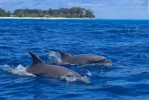 Zanzíbar: nada con delfines, bosque Jozani y Ciudad de Piedra