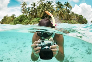 Sansibar: Schwimmen mit Delfinen + Schnorcheln am Mnemba-Korallenriff