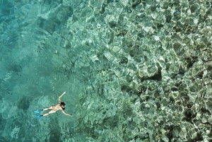 Sansibar: Schwimmen mit Delfinen + Schnorcheln am Mnemba-Korallenriff