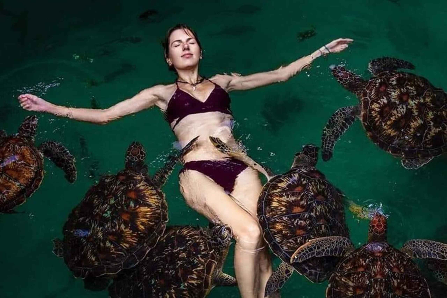 Zanzibar: nuota con le tartarughe marine a Baraka o alla grotta di Salaam