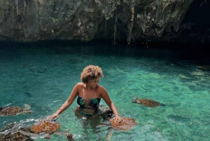 Zanzibar: Svøm med havskilpadder i Baraka eller Salaam-grotten