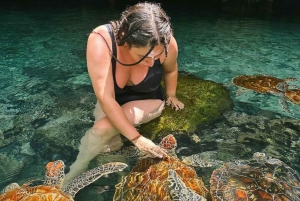 Zanzibar: Svøm med havskilpadder i Baraka eller Salaam-grotten