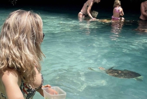 Zanzibar: Svøm med havskilpadder i Baraka eller Salaam-grotten