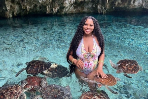 Zanzibar: Svøm med havskilpadder i Baraka eller Salaam-grotten