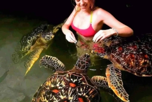 Zanzibar: Svøm med havskilpadder i Baraka eller Salaam-grotten