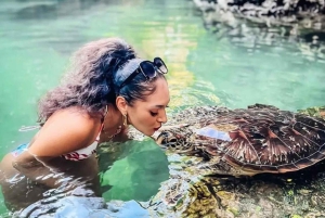 Zanzibar: Svøm med havskilpadder i Baraka eller Salaam-grotten