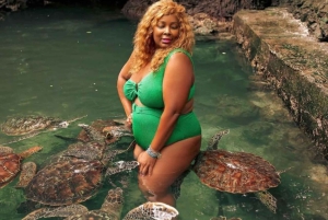 Zanzibar: Svøm med havskilpadder i Baraka eller Salaam-grotten