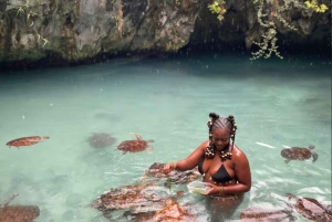 Zanzibar: Svøm med havskilpadder i Baraka eller Salaam-grotten