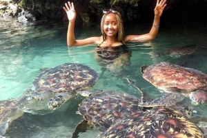 Sansibar: Schwimme mit Meeresschildkröten in der Nungwi-Lagune