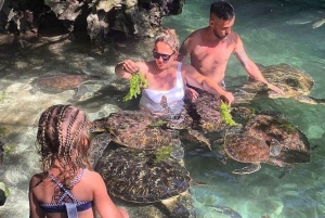 Sansibar: Schwimme mit Meeresschildkröten in der Nungwi-Lagune