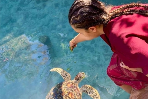 Sansibar: Schwimme mit Meeresschildkröten in der Nungwi-Lagune