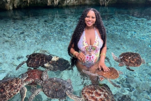 Zanzibar: nuota con le tartarughe, visita la foresta di Jozani e scopri la danza tradizionale