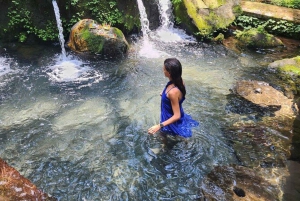 Zanzibar: nuota con le tartarughe, visita la foresta di Jozani e scopri la danza tradizionale