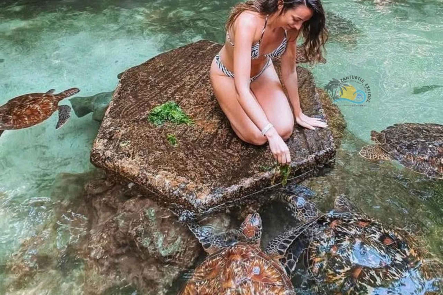 Zanzibar: zwem met schildpadden in het Baraka Aquarium en Zoo Park