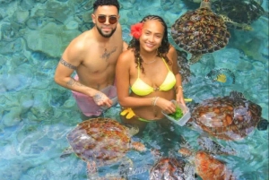 Sansibar: Schwimm mit Schildkröten im Baraka Aquarium und Zoo Park