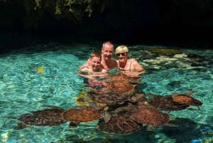 Sansibar: Schwimm mit Schildkröten im Baraka Aquarium und Zoo Park