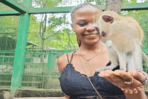 Sansibar: Schwimm mit Schildkröten im Baraka Aquarium und Zoo Park
