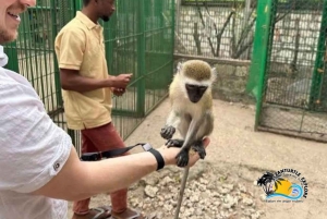 Sansibar: Schwimm mit Schildkröten im Baraka Aquarium und Zoo Park