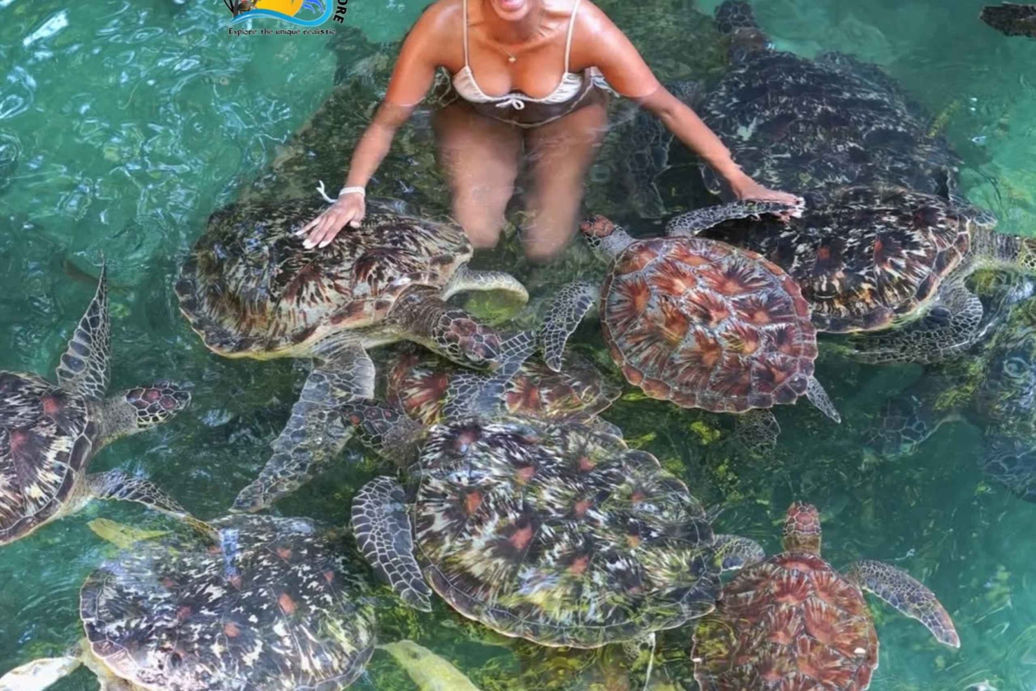 Sansibar: Schwimme mit Schildkröten & transparentem Kajak mit Drohne