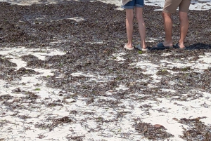 Zanzibar: restauracja The Rock i jaskinia Salaam