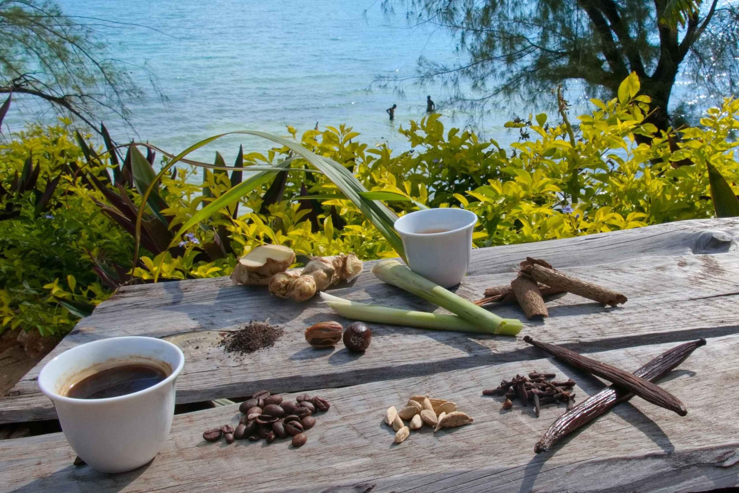 Zanzibar : l'expérience des épices swahilies - circuit des épices + voyage culinaire