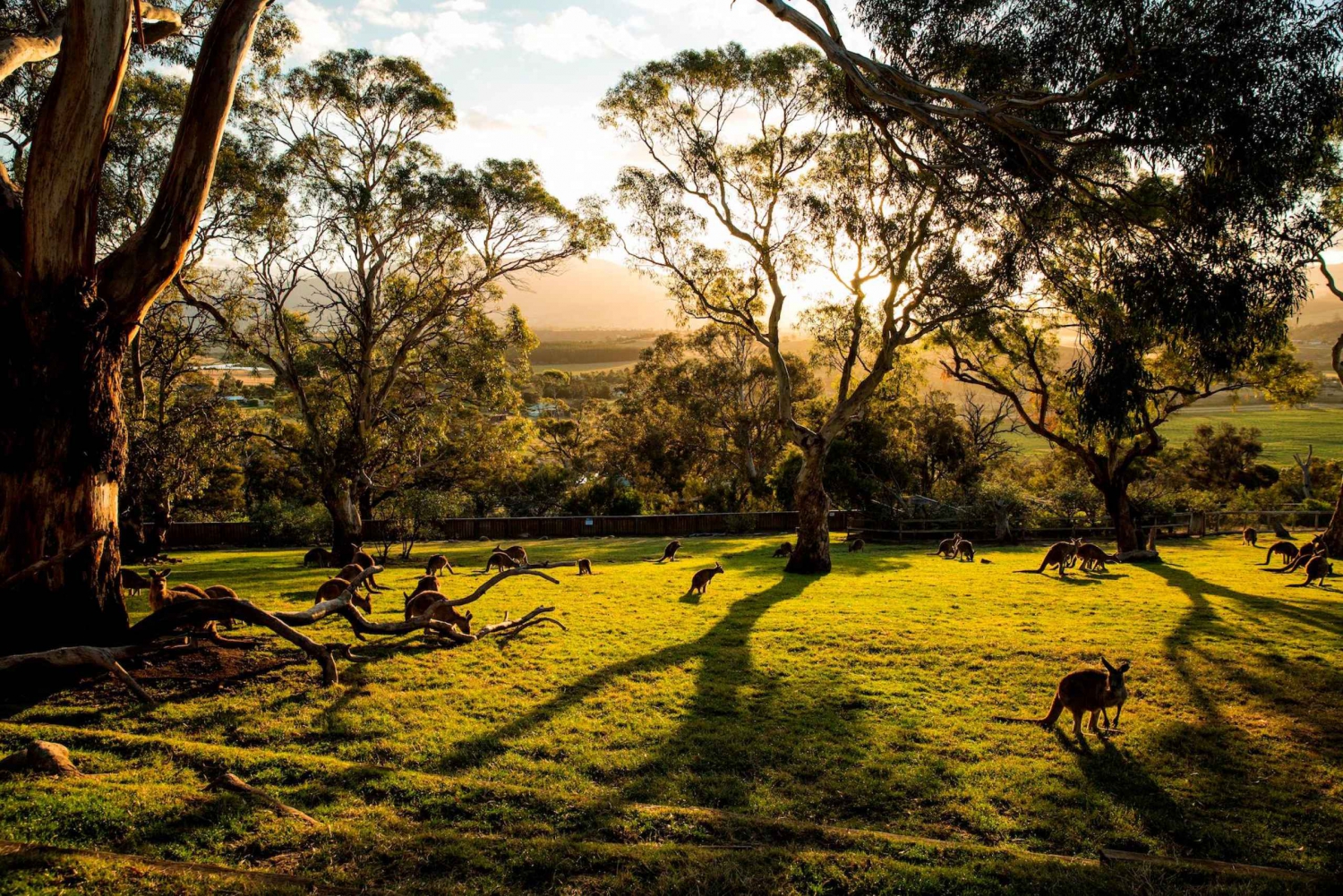 Hobart Highlights Day Tour
