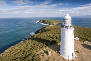 Hobart: Bruny Island Tour with Hotel Lunch & Lighthouse Tour