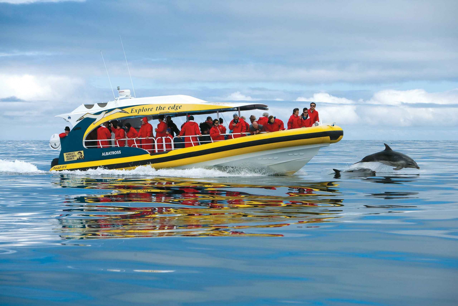 Hobart: Bruny Island Wilderness Coast Eco Cruise z lunchem