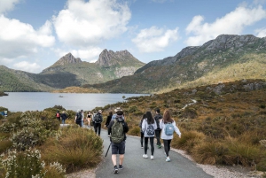 Cradle Mountain National Park by Coach from Launceston