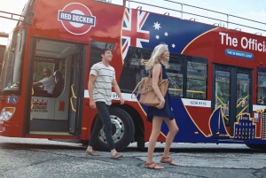 Hobart: 24-Hour Hop-on Hop-off Sightseeing Bus Ticket