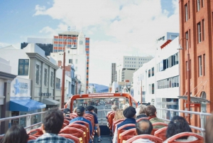 Hobart: 24-Hour Hop-on Hop-off Sightseeing Bus Ticket